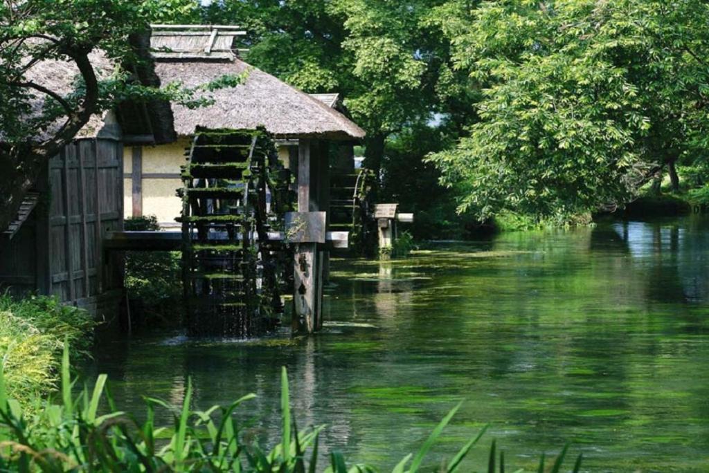 Ryokan 金剛寺 宿坊 成穂院 *